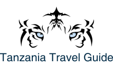 Tanzania Travel Guide 